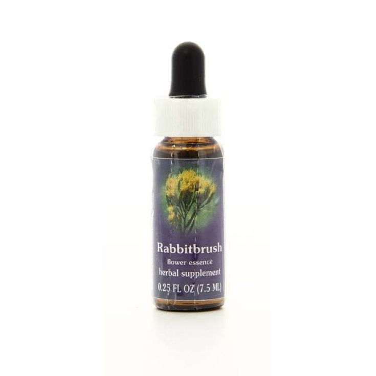 Natur Rabbitbrush (Chrysothamnus Nauseosus) Esencias de California 7,4ml