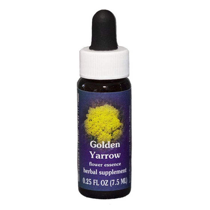 Natur Golden Yarrow (Achillea Filipendulina) Esencias Californianas 7,4ml