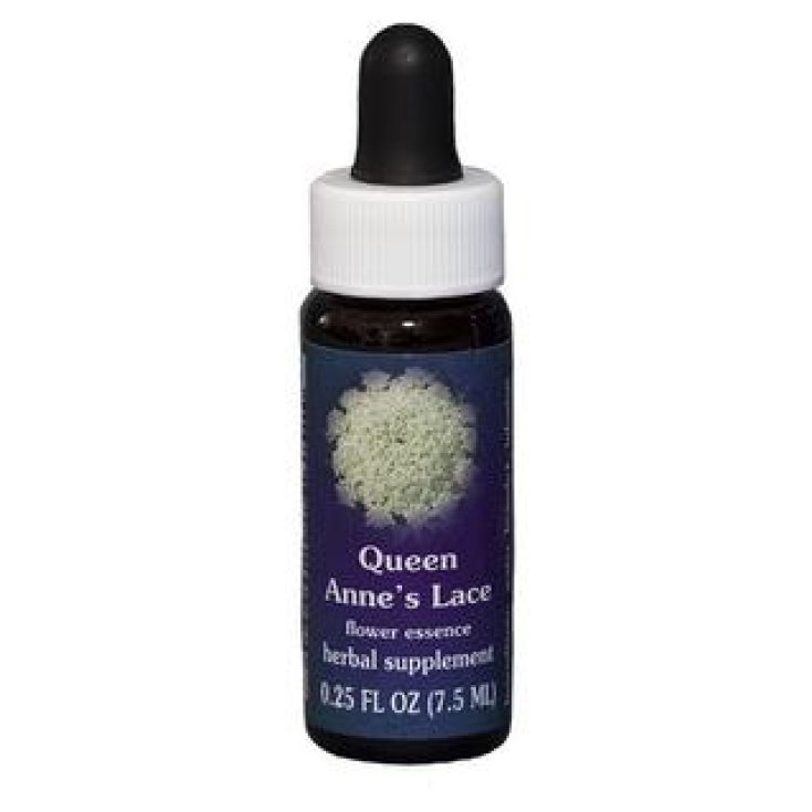 Natur Queen Anne's Lace (Daucus Carota) esencias de California 7,4ml