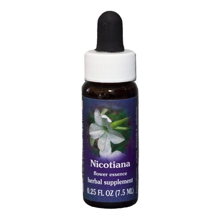 Natur Nicotiana (Nicotiana Alata) Esencias Californianas 7,4ml