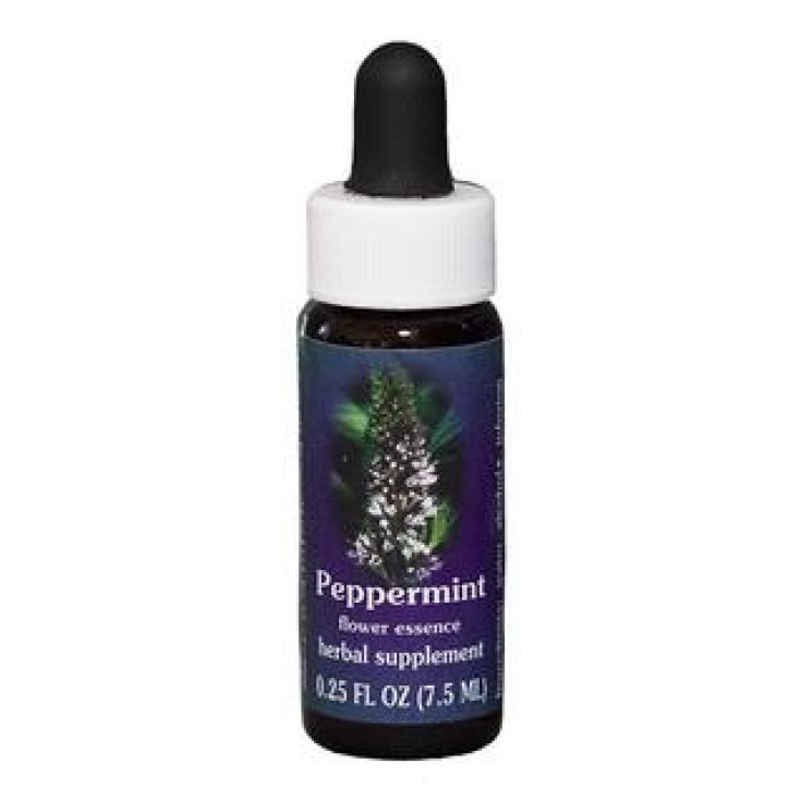 Natur Menta (Mentha Piperita) Esencias de California 7,4ml