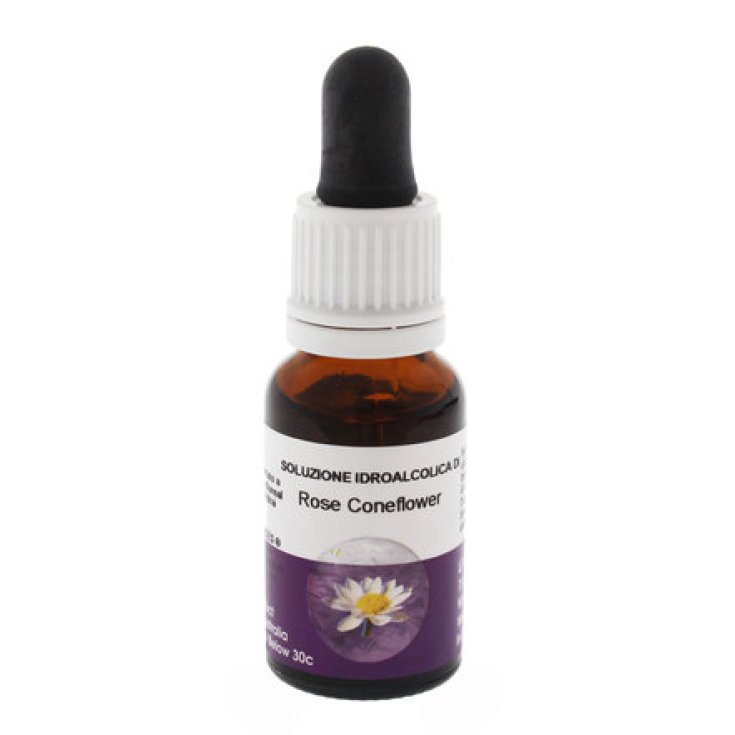 Natur Rose Coneflower Esencias Australianas 15ml