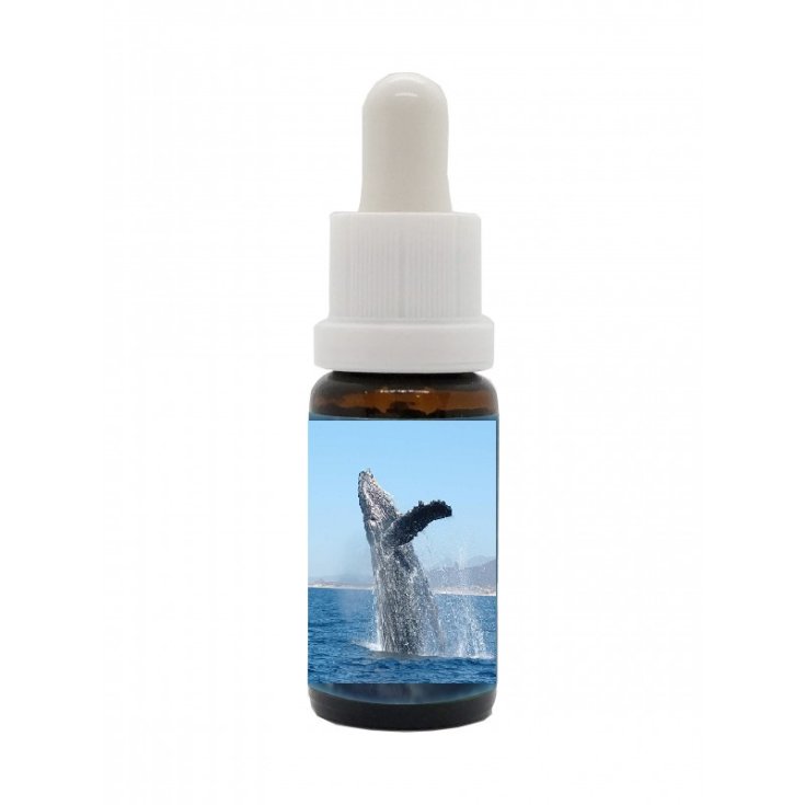 Natur Esencia de Ballena Korte - PHI 15ml