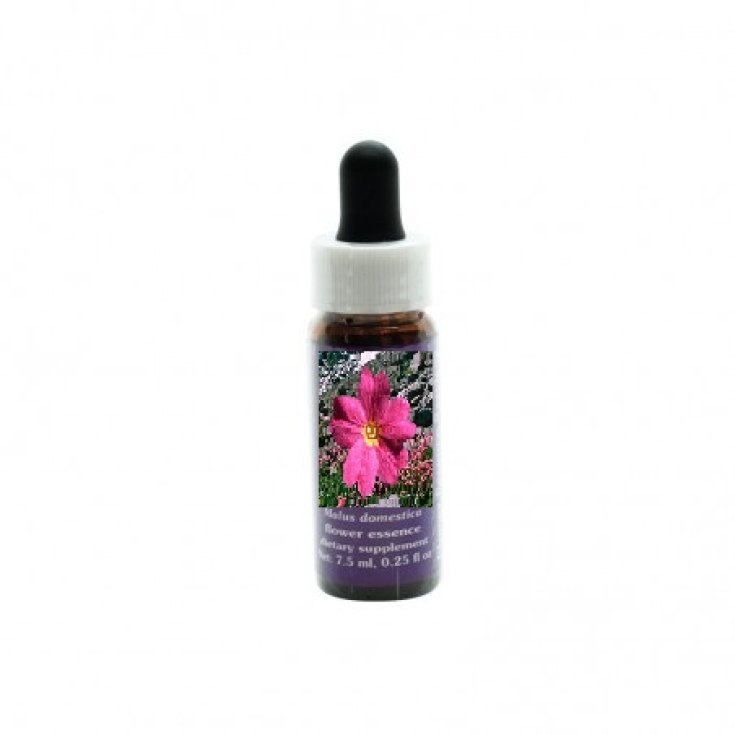 Natur Sierra Primrose Esencias Florales Californianas 7,4ml