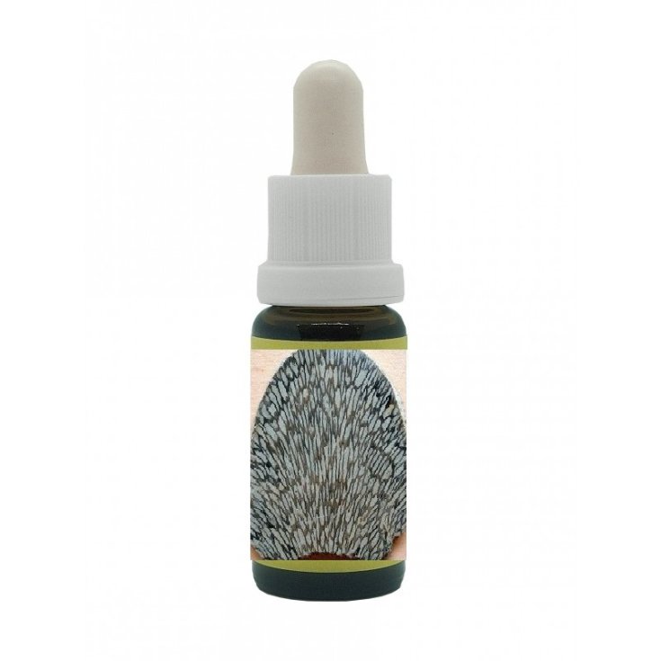 Coral 15ml Korte