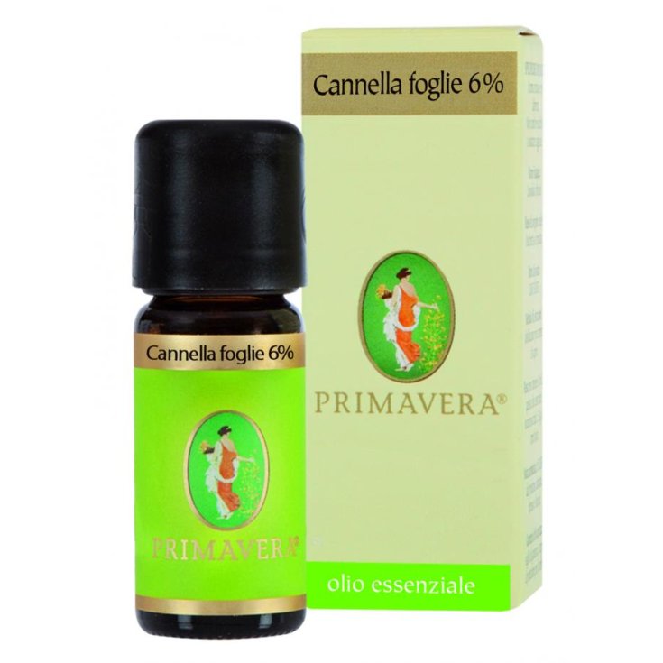 Hoja de Canela 6% Aceite Ess 10ml