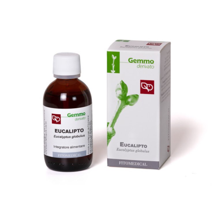 Eucalipto MG 50ml