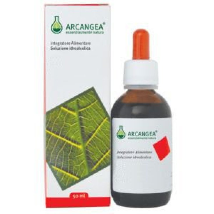 Schisandra Sol Ial 50ml