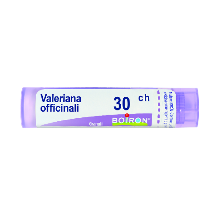 Boiron Valeriana Officinalis 30ch Granulado Remedio Homeopático