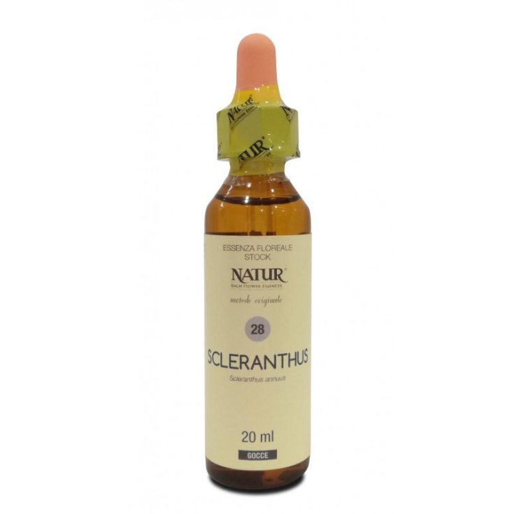 Natur Bach Center Sclerantus Essence Remedio Homeopático 20ml