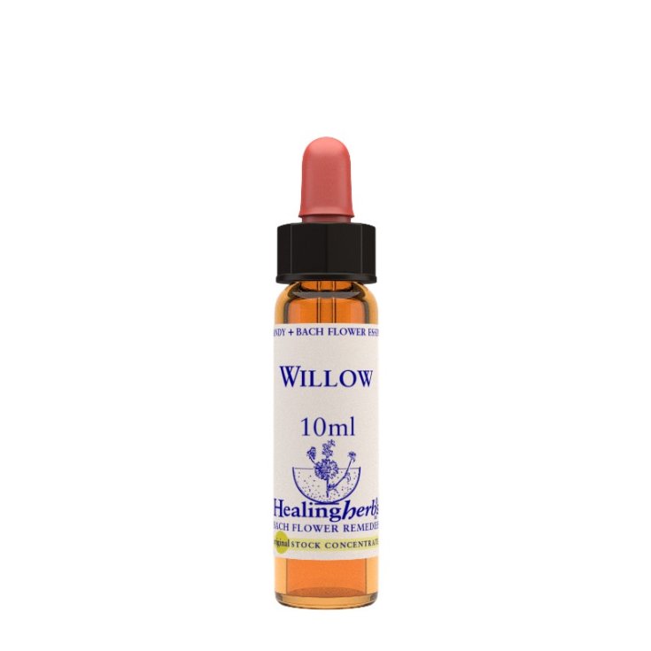 Natur Willow Essence Remedio Homeopático 10ml