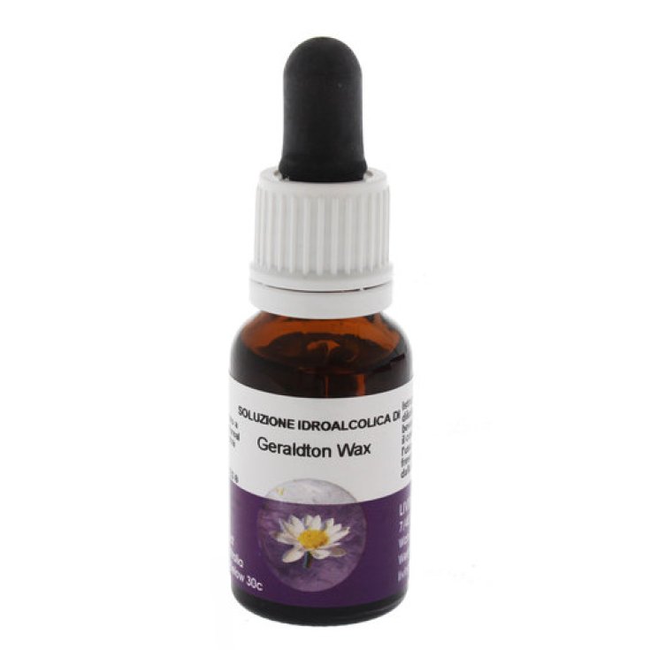 Geraldton Wax Esencias Florales Australianas 15ml