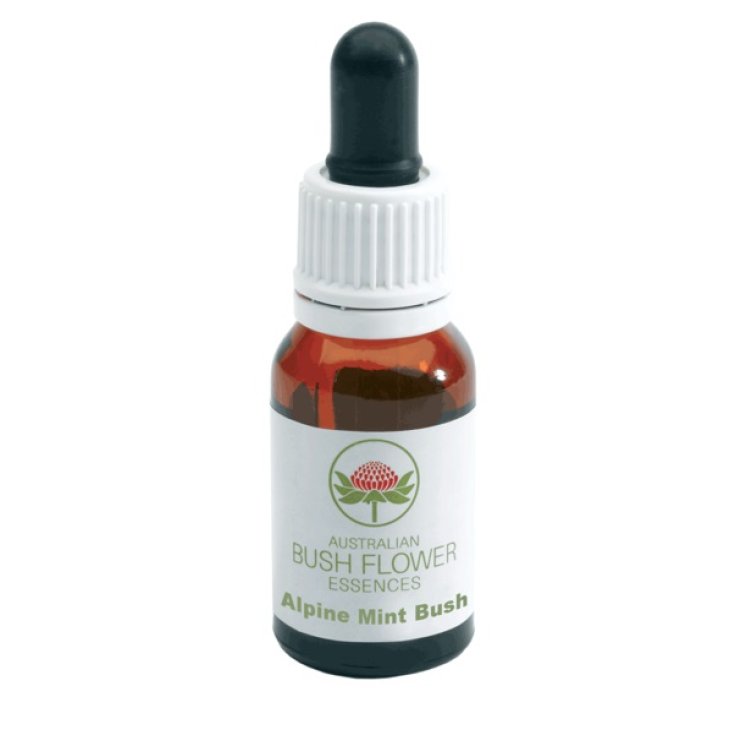 Natur Alpine Mint Bush Complemento Alimenticio 15ml