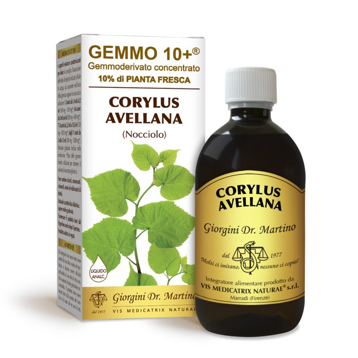 G10+ Líquido Sin Alcohol Avellana Dr. Giorgini 500ml