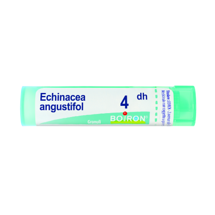 Boiron Echinacea Angustifolia 4dh Granulado Remedio Homeopático