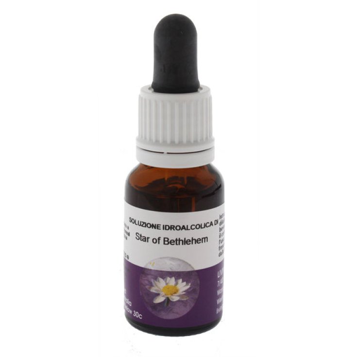 Natur Star Of Bethlemm Esencia De Flores De Bach Complemento Alimenticio 15ml