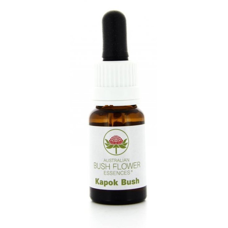 Natur Kapok Bush (Cochlospermum) Esencia 15ml