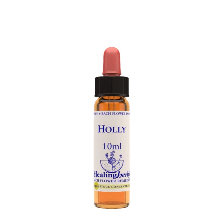 Natur Holly Essence Remedio Homeopático 10ml