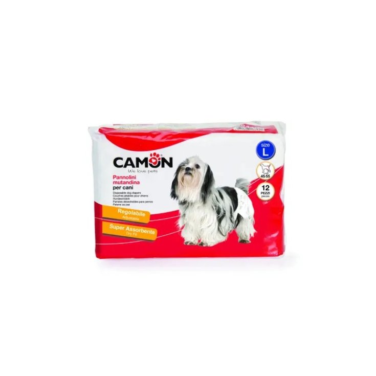 Camon Pañales Bragas L Tg3 12 Piezas