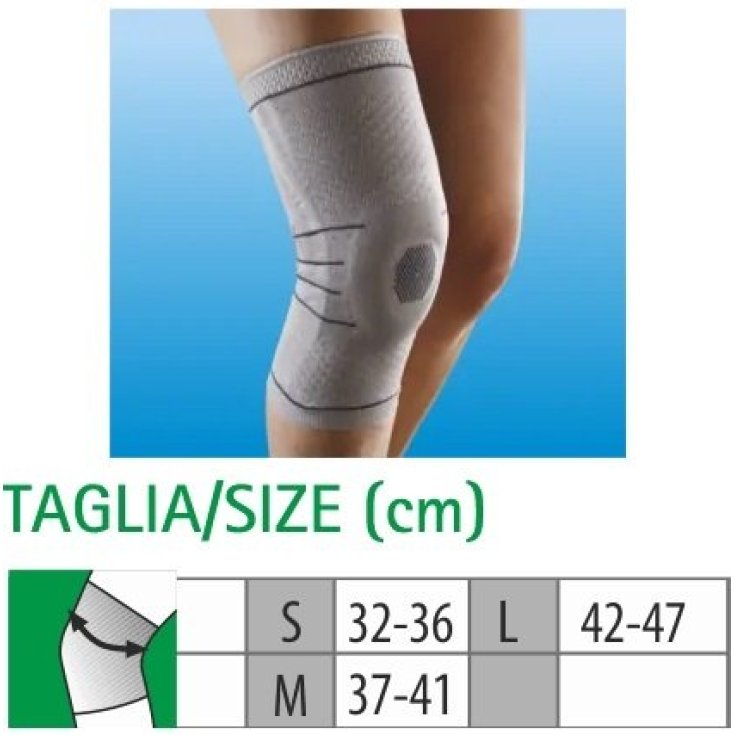 Ligamentos Rodilla Cliaortho Talla M