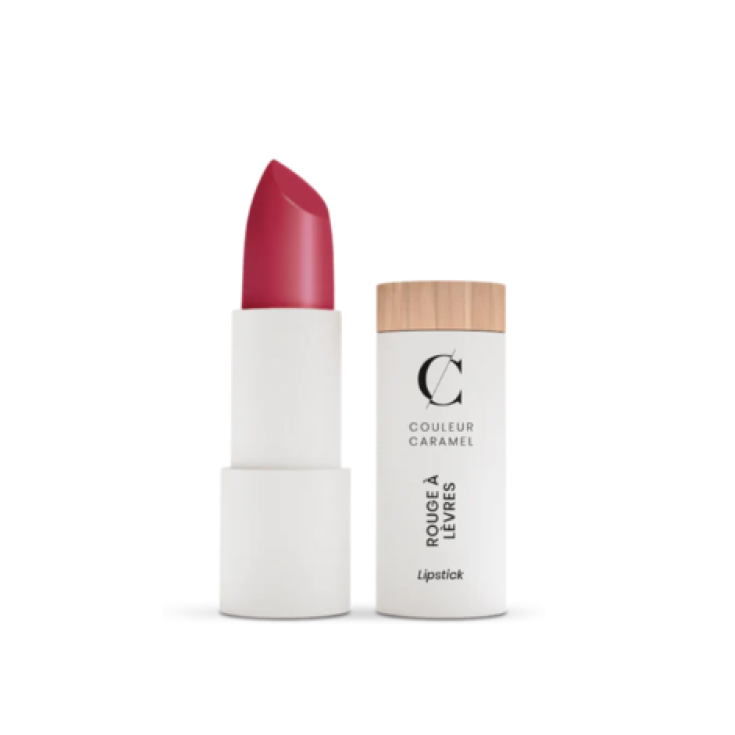 Barra de labios Couleur Caramel Matt 121 Pink Brick