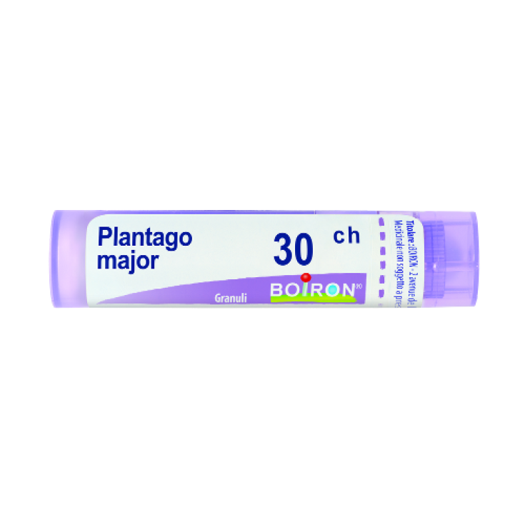Boiron Plantago Major 30ch Gr