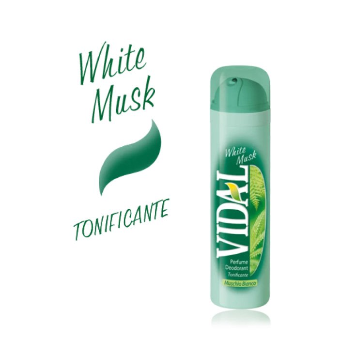 VIDAL DEO MUSK SALVAJE 150 ML