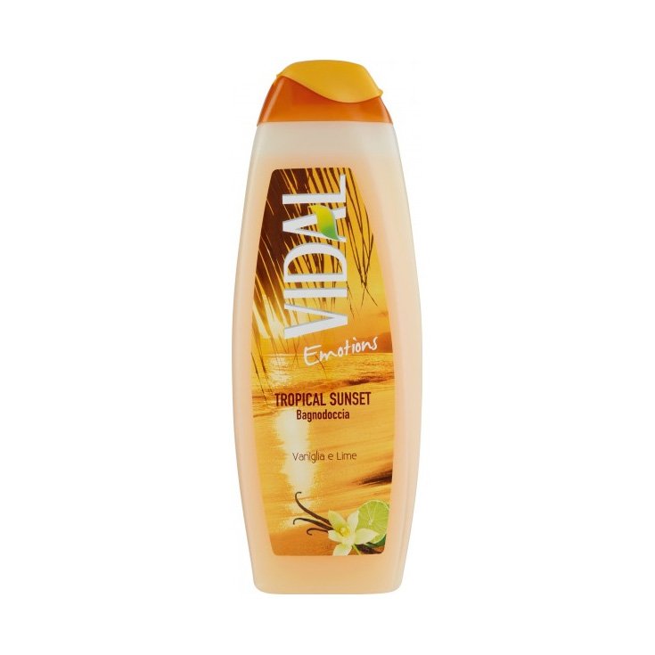 VIDAL B/S VAINILLA Y LIMA 500 ML