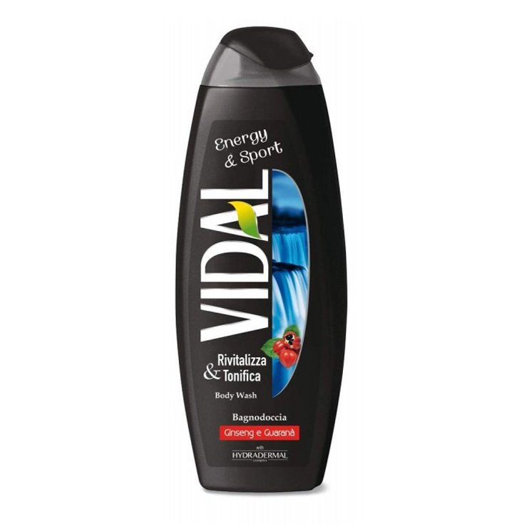 VIDAL B/S ENERGIA Y DEPORTE 500 ML