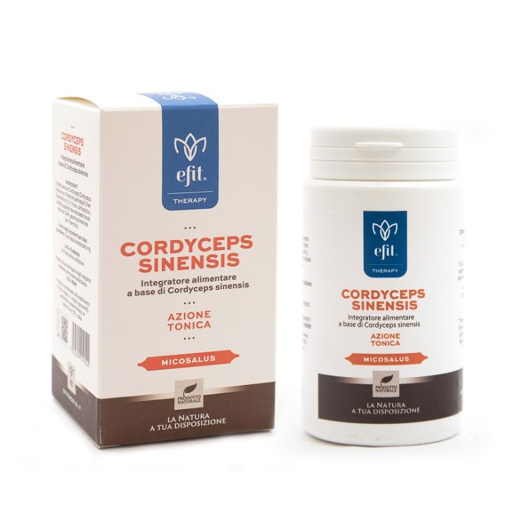 Efit Cordyceps Complemento Alimenticio 90 Cápsulas