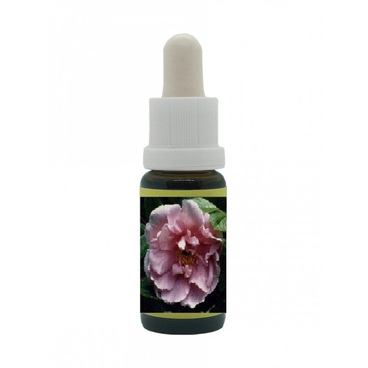 Natur Sara Van Fleet H Remedio Homeopático 15ml Korte