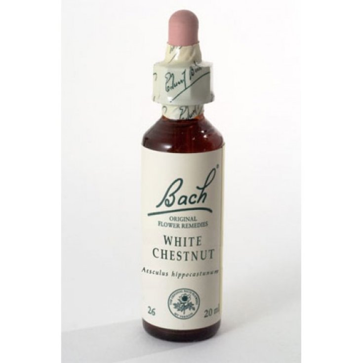 Schwabe Pharma White Chestnut Bach Flower Original Herbal Remedy 20ml