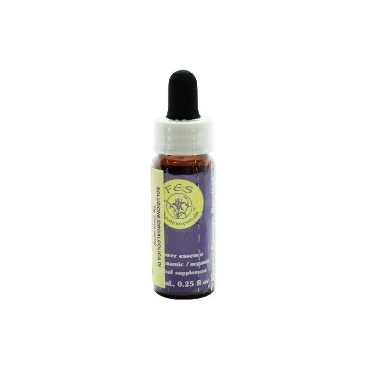 Esencia Natur Redwood 7.4ml