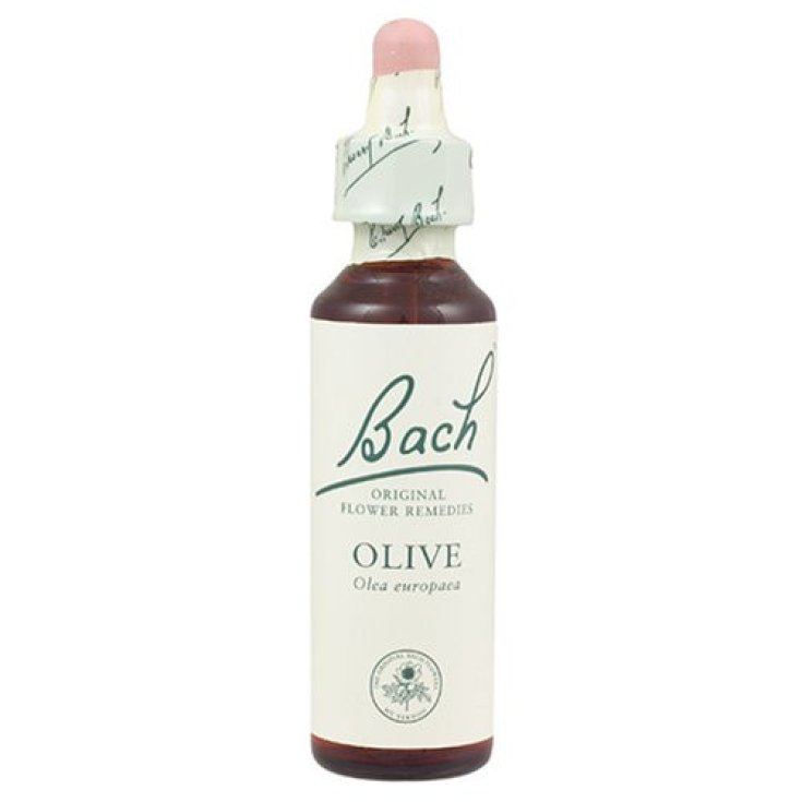 Schwabe Pharma Flores de Bach de Oliva 20ml