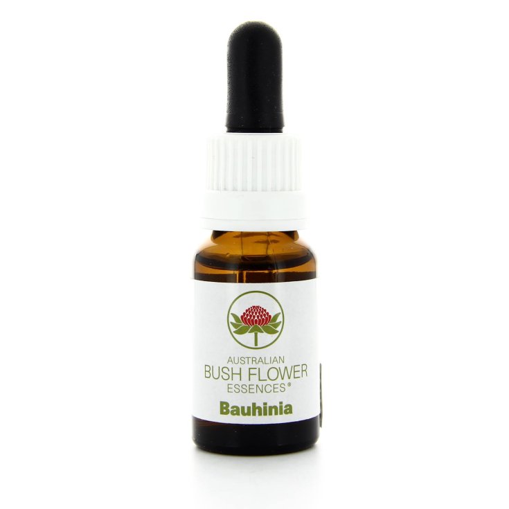 Esencia Bauhinia 15ml