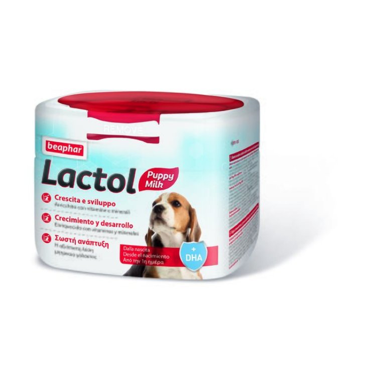 Lactol Latte Cachorro En Polvo 250g