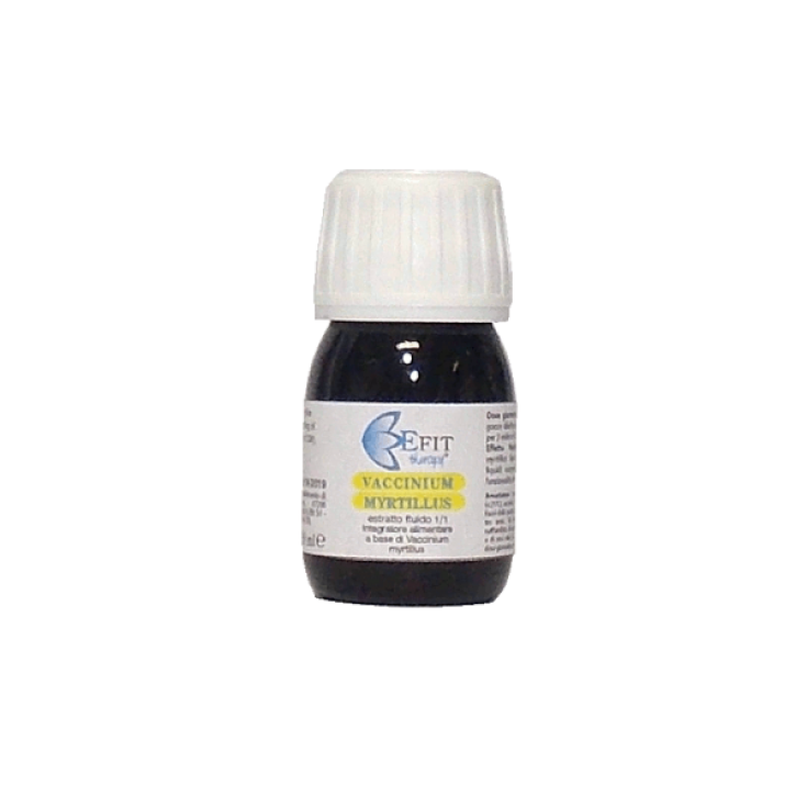 Efit Vaccinium Myrtillus Remedio Fitoterapéutico 30ml