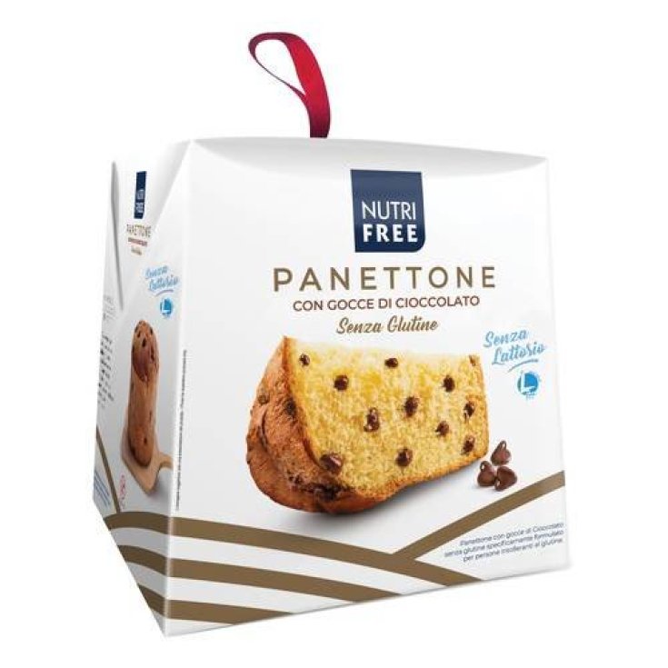 Panettone Con Gotas De Chocolate Nutrifree 600g