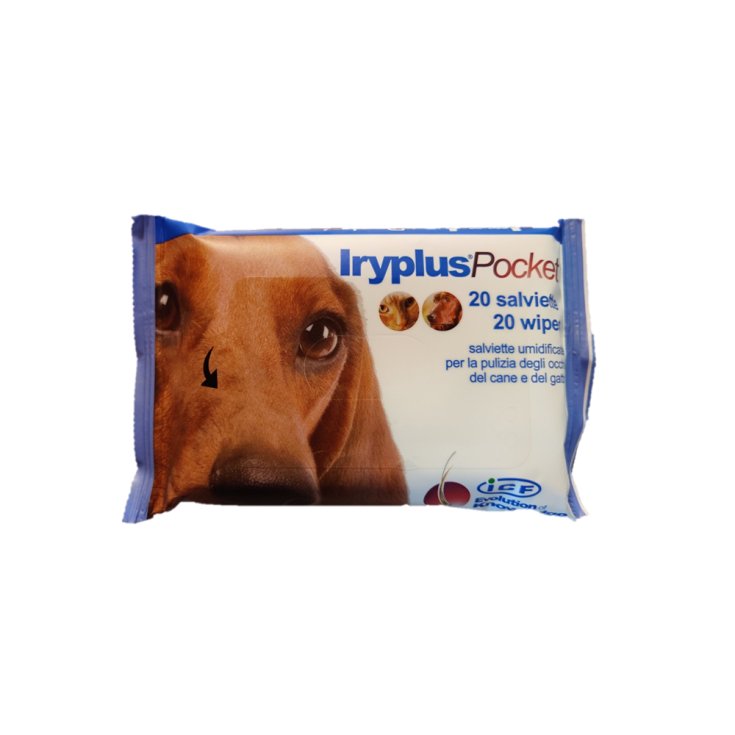 Iryplus® Pocket Icf Pet 20 Piezas