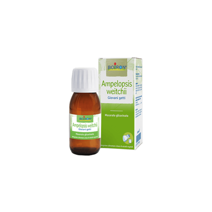 Ampelopsis Weitchii Mg Boiron 60ml