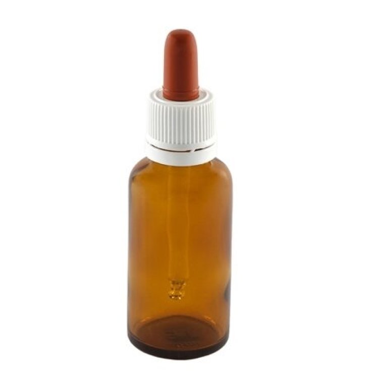 BOTELLA VT 100ML+TT CONTACTO 10PCS