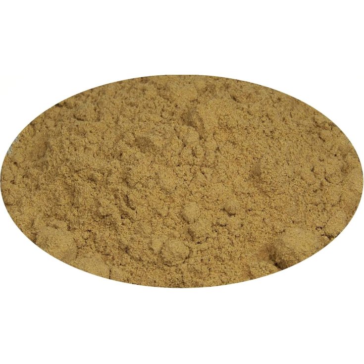 TÉ DE HIERBAS CON ANÍS POLV100G