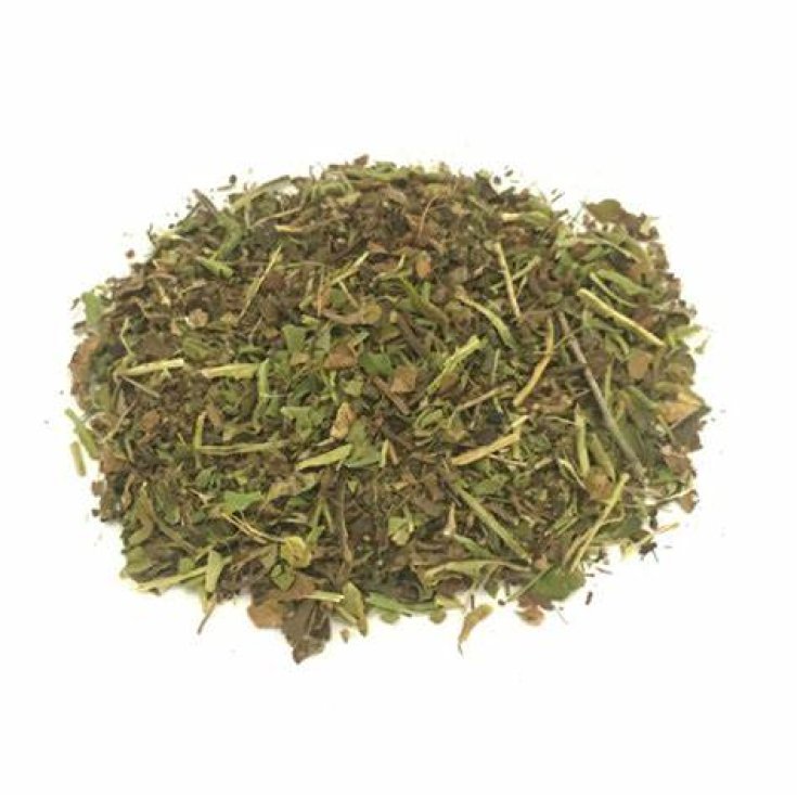 CORTADORA DE HOJAS TT 100G