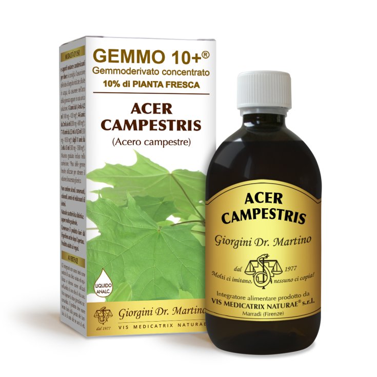 G10 + Campo Arce Dr. Giorgini 500ml