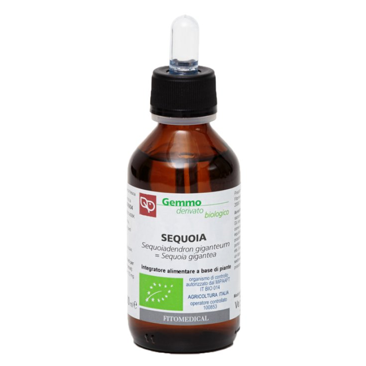 Secuoya Bio Mg Fitomedical 200ml