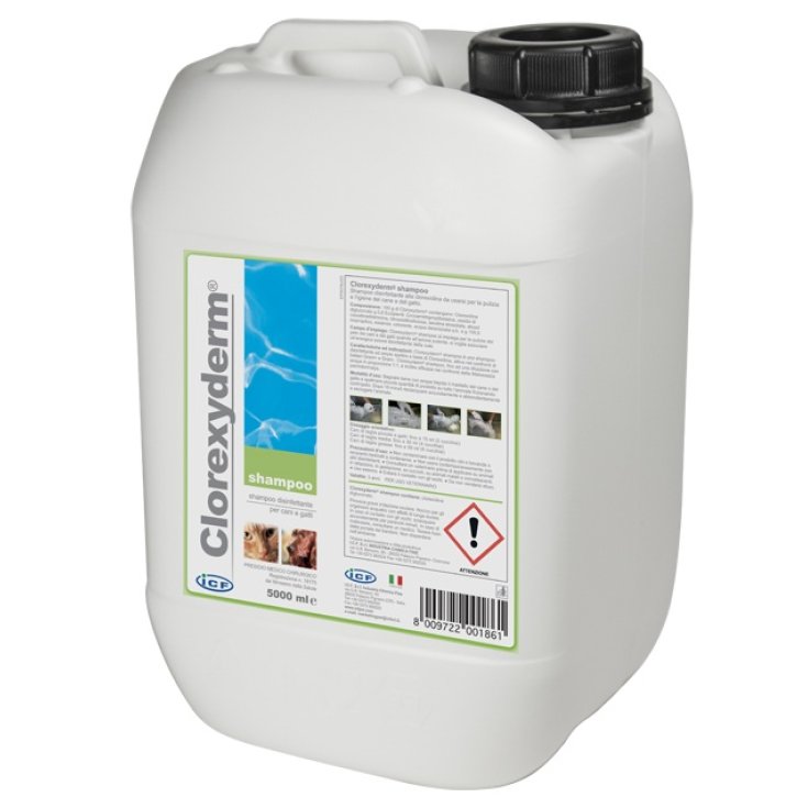CLOREXYDERM CHAMPÚ 5L