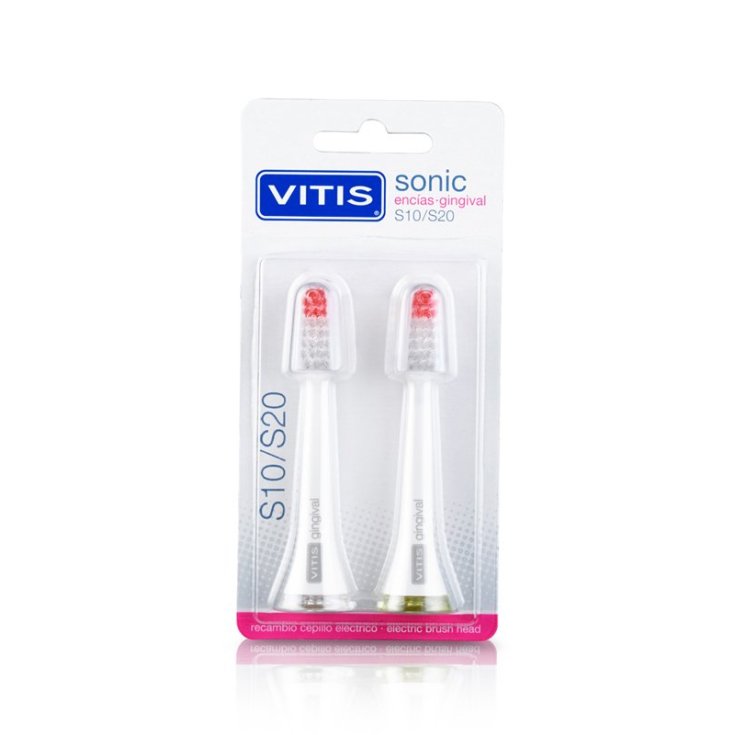 Sonic Head Gingival Vitis® 2 Piezas