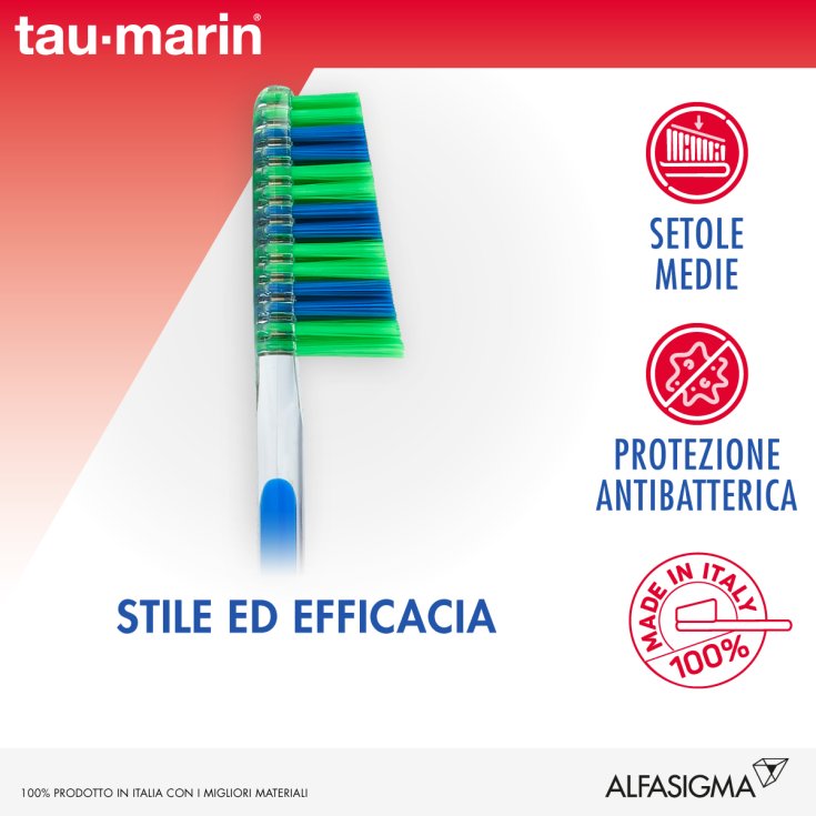 Scalare 33 Cerdas Medianas Tau Marin Colores Surtidos