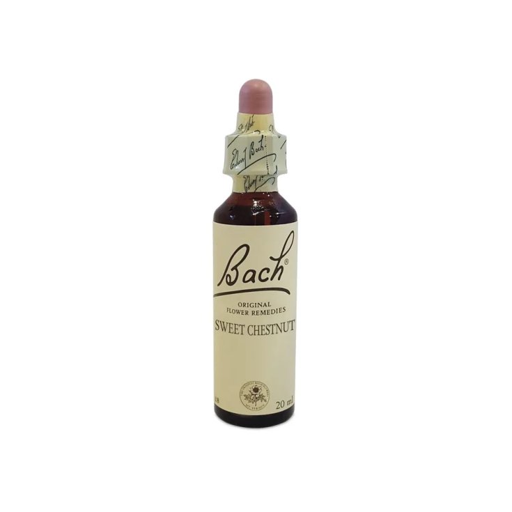 BACH CENTRO ESS DULCE CHESTN20