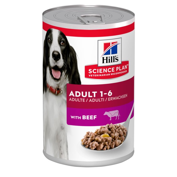 Science Plan Adulto Con Hill's Beef 370g